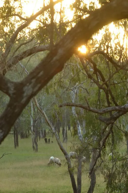 The Laurels Of Chinchilla Hotel