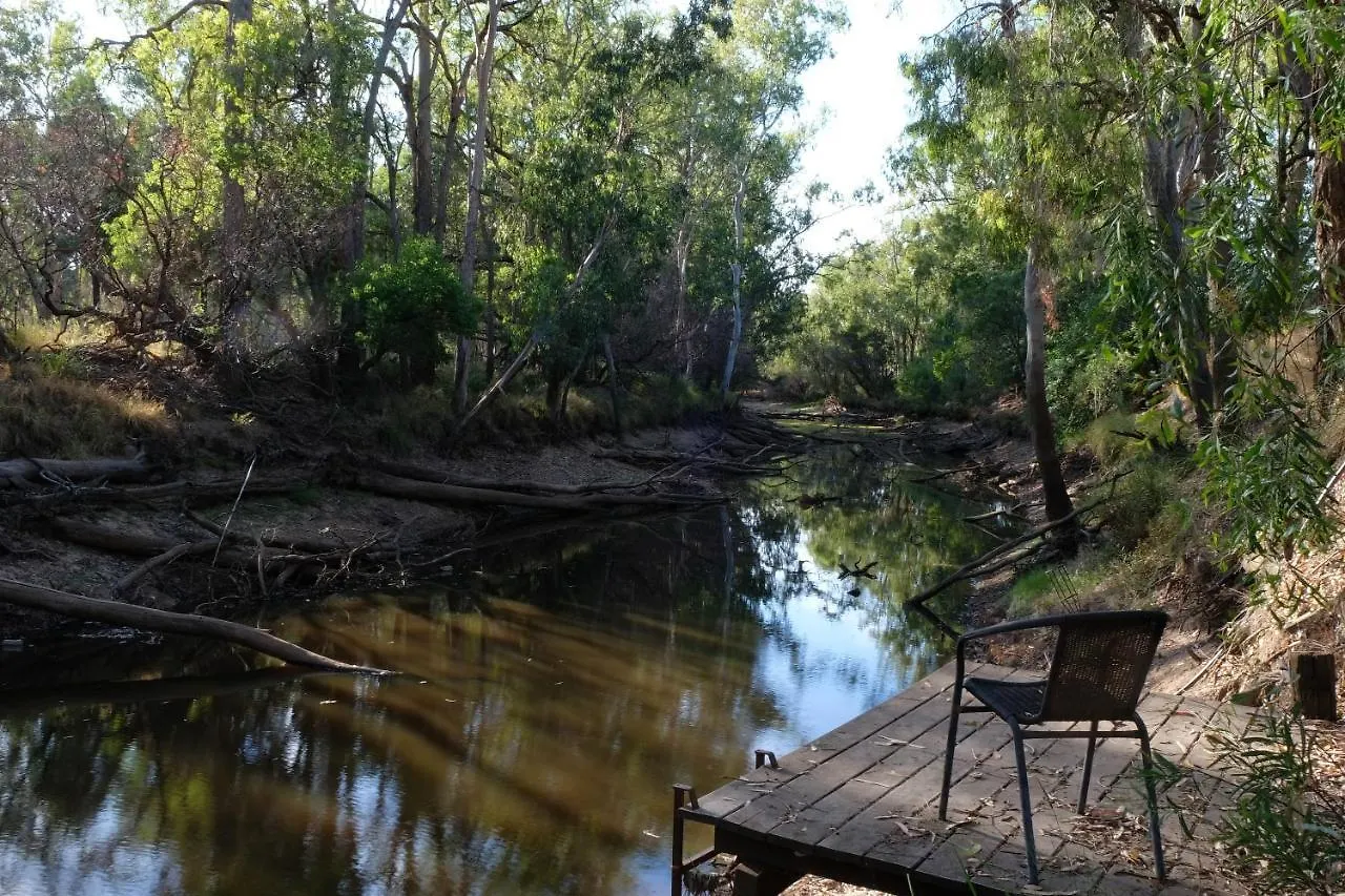 The Laurels Of Chinchilla Hotel